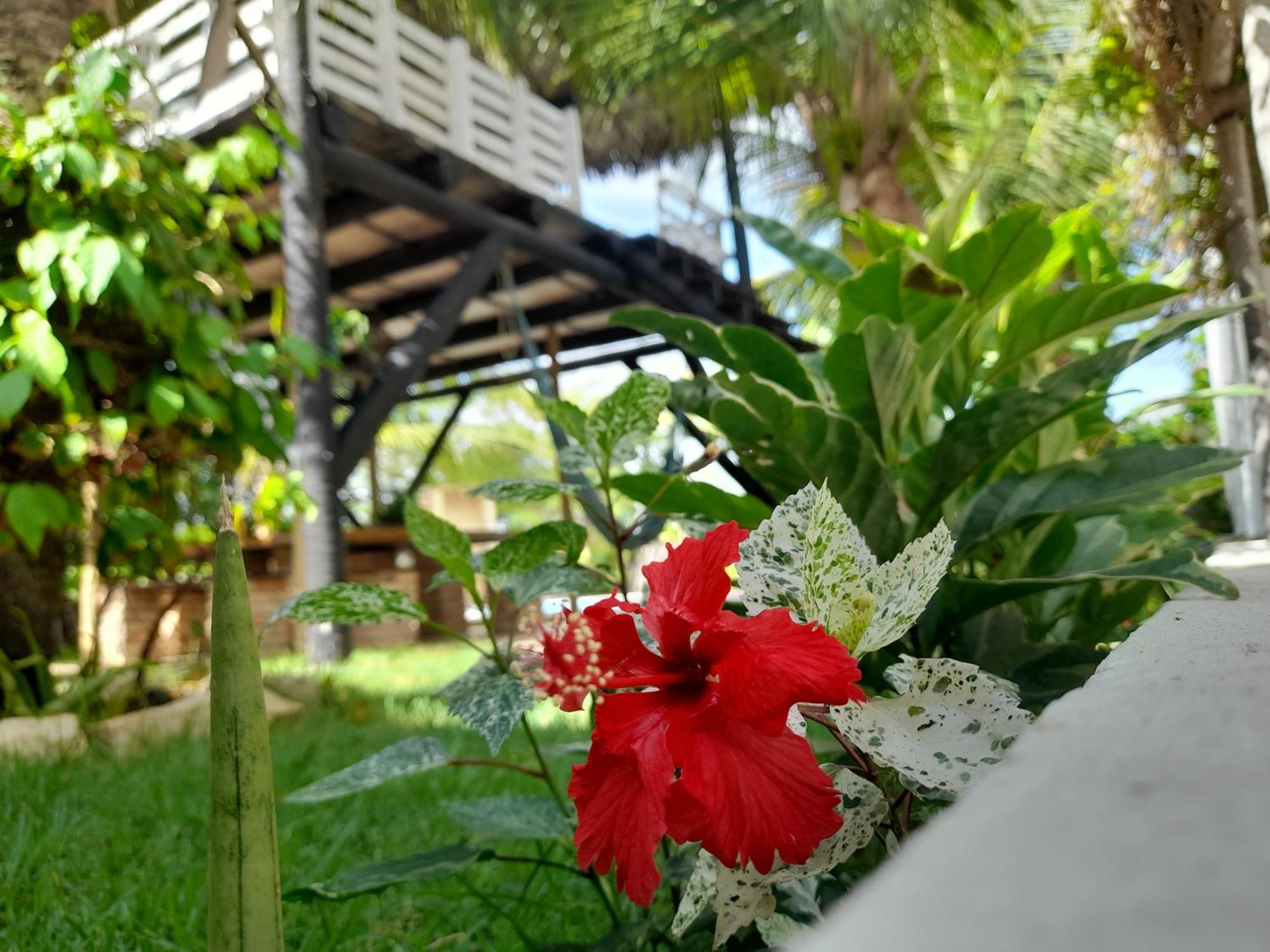 Vila Branca Canoa Canoa Quebrada Zewnętrze zdjęcie